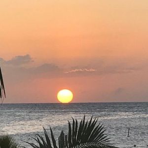 Meet your Posher, Tony